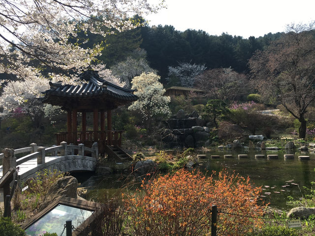 봄맞이 꽃 보러가요
