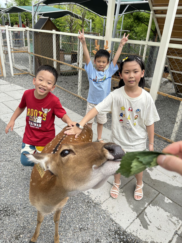 星夢森林劇場！