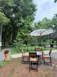 📍arboretum bliss คาเฟ่ฟีลเดินป่าแต่อยู่ในเมือง
