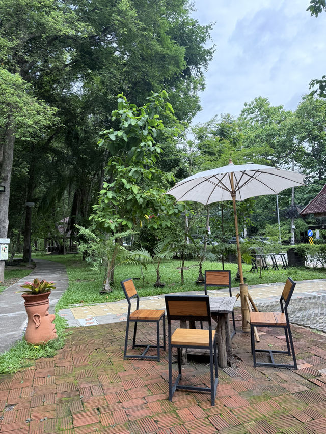 📍arboretum bliss คาเฟ่ฟีลเดินป่าแต่อยู่ในเมือง