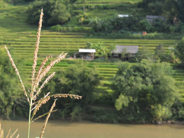 🛣️Hà Giang – The Road That Keeps Calling Me Back
