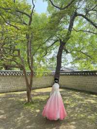 전주 경기전, 봄 감성 가득한 산책 코스🌸