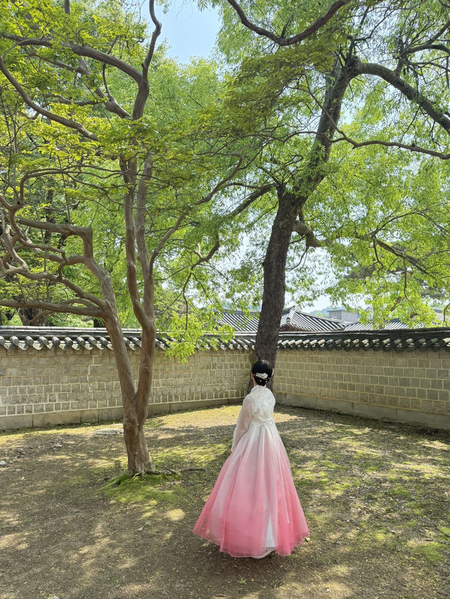 전주 경기전, 봄 감성 가득한 산책 코스🌸