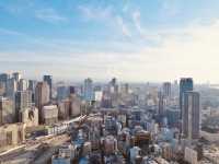 48 Hours in Osaka: Castles, Kimonos & City Lights! 