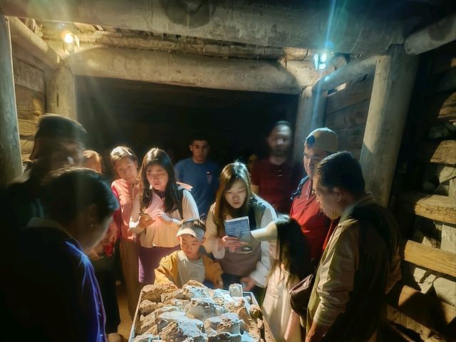 墨爾本近郊秘境｜袋鼠擁抱＋淘金冒險全記錄！🦘⛏️💛