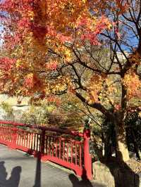 เมืองออนเซน ใกล้โอซาก้า Arima Onsen 🇯🇵