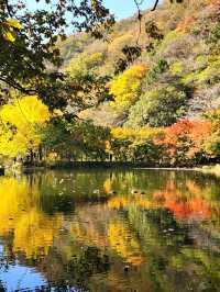 Leaf It to Naejangsan