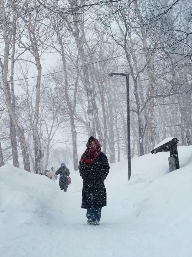 눈 덮인 천구산의 산책로를 걷다 보면