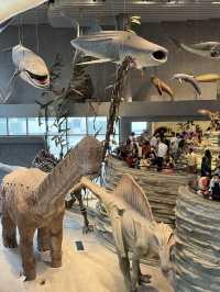 Shanghai Natural History Museum