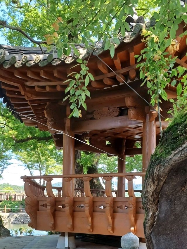 연못 위 전통미, 함안 무진정에서의 봄 데이트 🌸