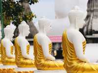 วัดป่าพรหมนิมิต