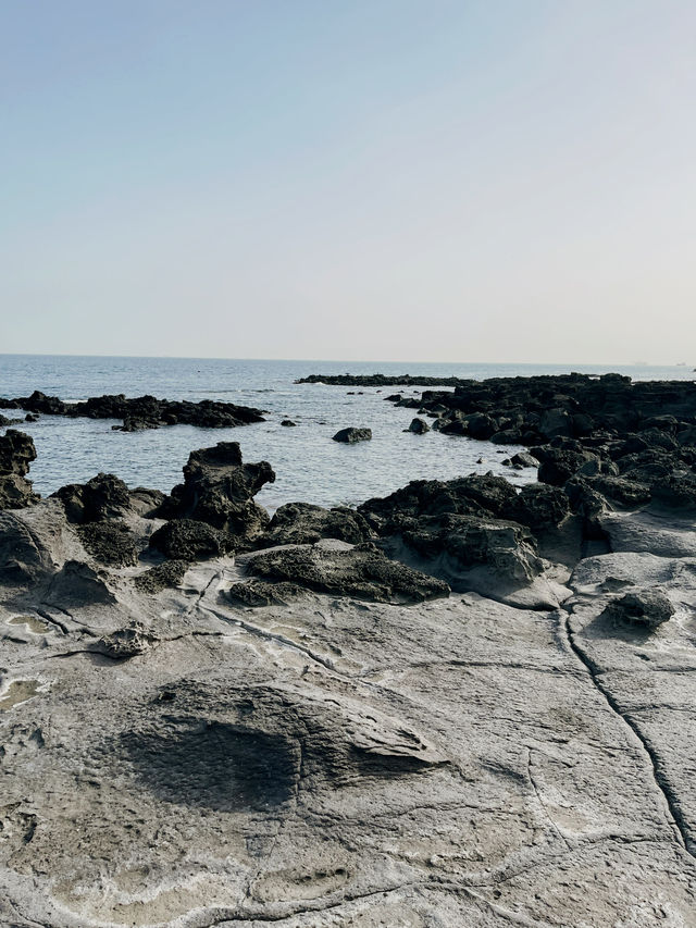 Jeju : Summer Escape for Less 