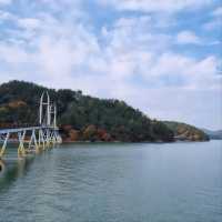 Gangjin City Center Adventures