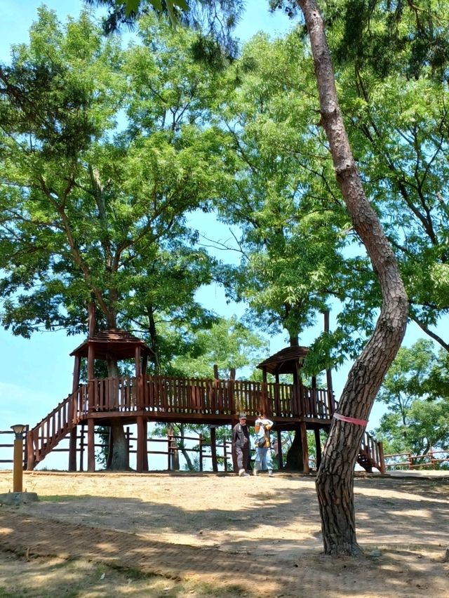 꽃길 속 힐링 데이트