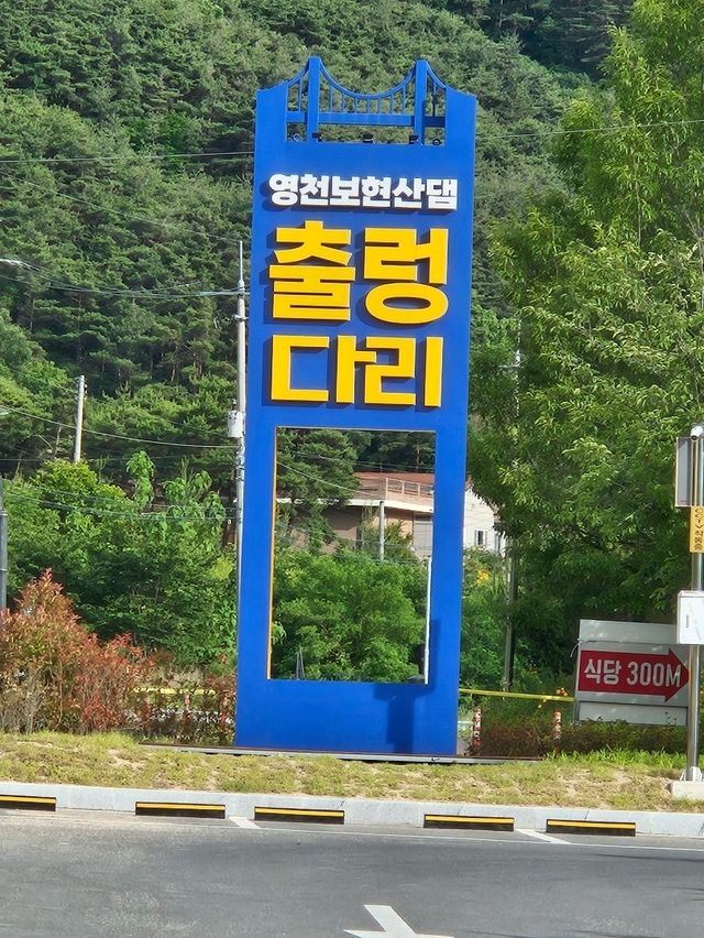 영천 보현산댐 출렁다리 걷기 좋은 명소