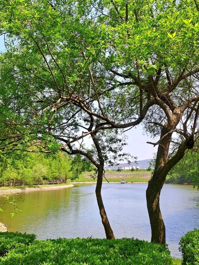 Yongso Well-being Park