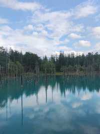 Junee Green Hokkaido 