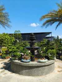 Desaru’s Budget Café Surprise: Sip & Stroll Through Nature