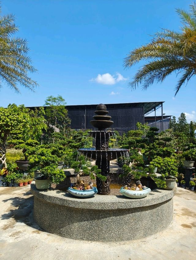 Desaru’s Budget Café Surprise: Sip & Stroll Through Nature