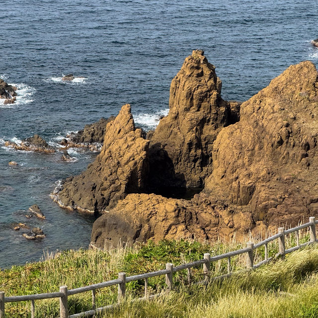 Onogame จุดชมวิวริมทะเล บน เกาะซาโดะ ⛰️🌼🇯🇵