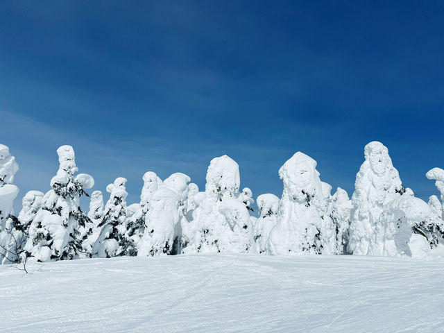 樹冰高原中的滑雪天堂❄️