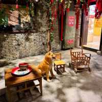 🇨🇳✨ Wangfujing Wonders: Beijing’s Shopping & Street Food Paradise! 🛍️🍢