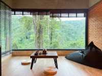 Hi Land Forest View