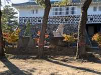 Shimabara Castle: A Hidden Gem of Samurai, Rebellion, and Tranquil Views