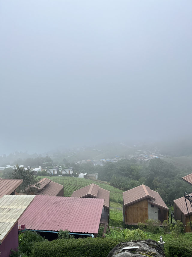 บ้านภูหมอก