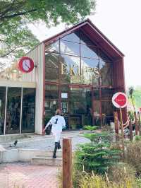 Stirrups & Sips at Ekues Cabin Cafe