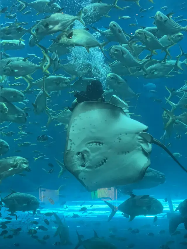 Phu Quoc – 夢幻度假天堂