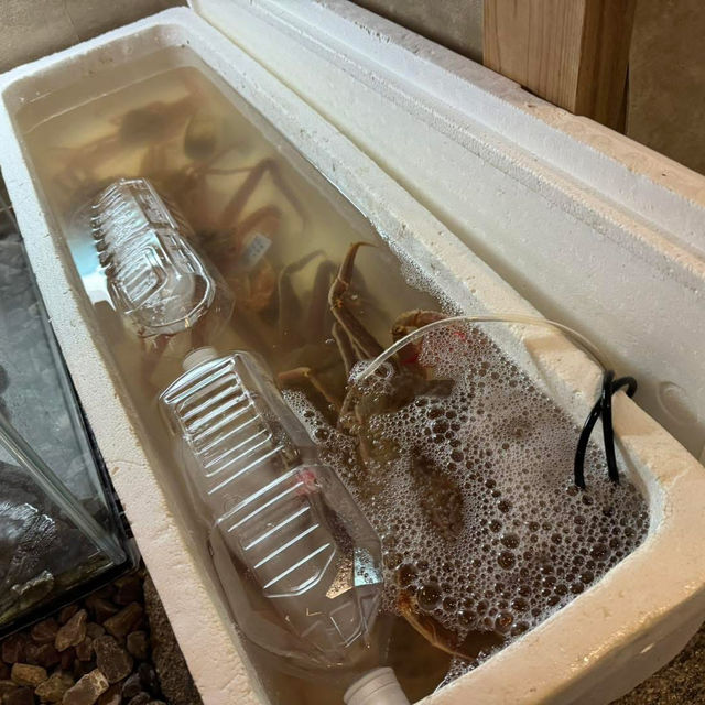 Crab lover