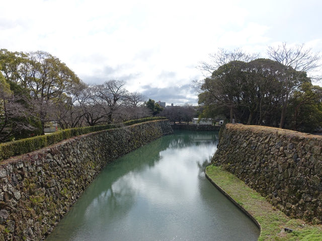 🏯 “White Heron Dreams: A Day at Majestic Himeji Castle”