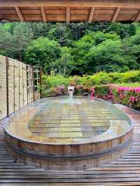 【山梨】人生で一度は泊まりたい最高の旅館♨️