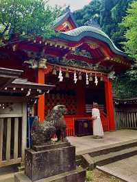 โอซาก้า🇯🇵