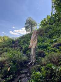 ตาดตายิกเสือ น้ำตกใหญ่ที่ซ่อนอยู่ในป่า🌳