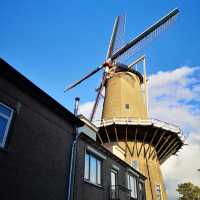 🧀🌷 Gouda Summer Guide: Cheese, Canals & Hidden Courtyards