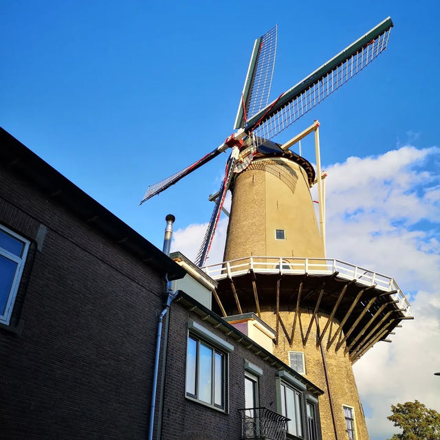 🧀🌷 Gouda Summer Guide: Cheese, Canals & Hidden Courtyards
