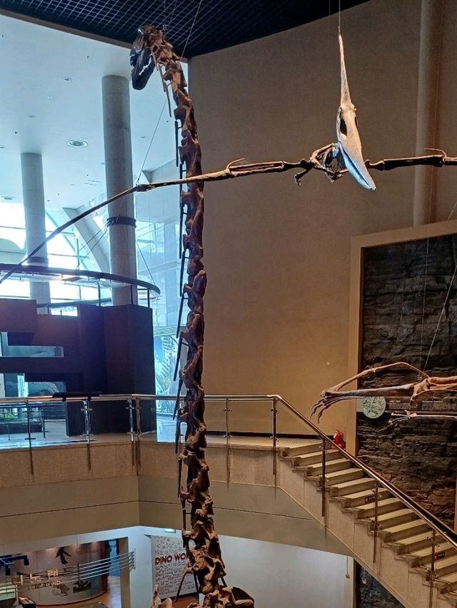 공룡과 바람이 함께하는 야외 산책길