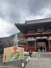 見渡す限りダルマで溢れているお寺！