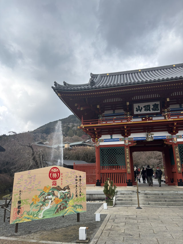 見渡す限りダルマで溢れているお寺！