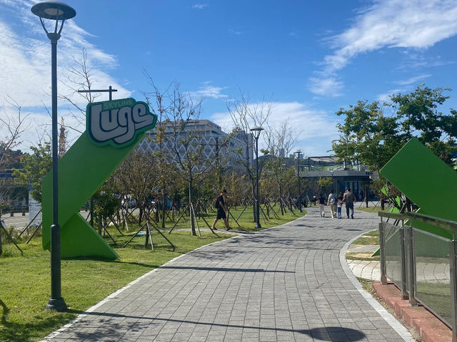 Skyline Luge Busan: The Perfect Blend of Speed and Fun! 🎢🏎️