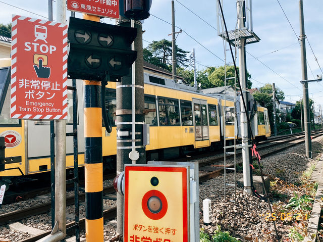 高cp值東京行程分享-day3
