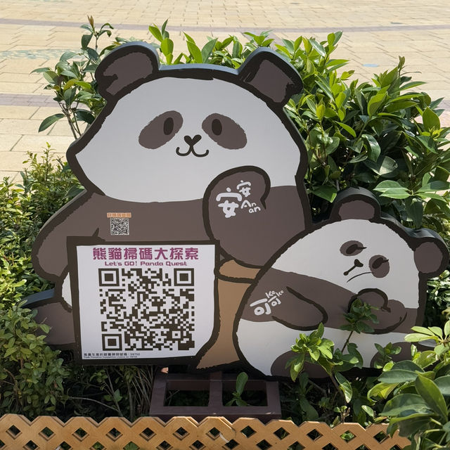 香港海洋公園：熊貓經濟 🐼🤣