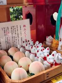 【自由が丘】心を整える最強パワースポット⛩熊野神社