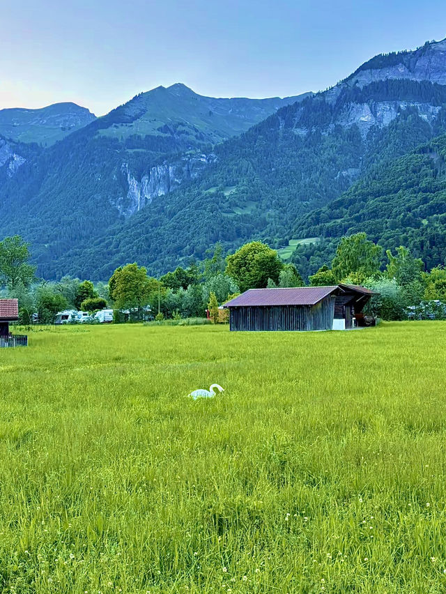 สวิตเซอร์แลนด์🇨🇭