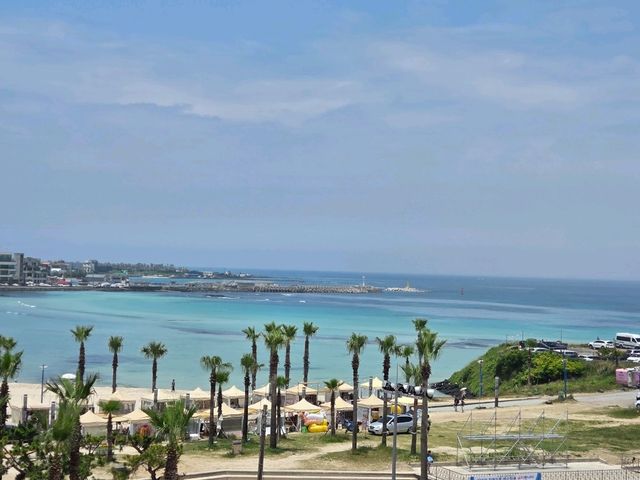 제주 함덕해수욕장