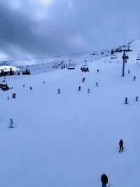 🎿【四季を通じて楽しめる！ウィスラーで自然とアクティビティの贅沢旅】🎿【四季を通じて楽し