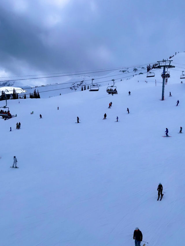 🎿【四季を通じて楽しめる！ウィスラーで自然とアクティビティの贅沢旅】🎿【四季を通じて楽し