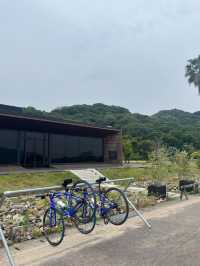 【しまなみ海道】海と島をつなぐ絶景サイクリングロード🌊🚴‍♀️
